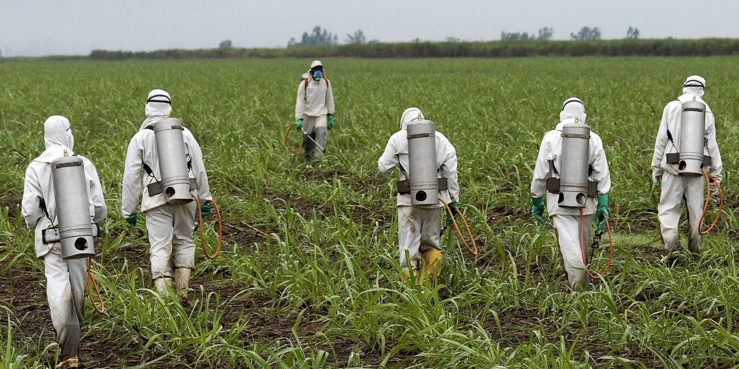 Roundup Glyphosate Spraying
