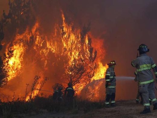Die Feuerwehr versucht, den Wldbrand im chilenischen Badeort Viña del Mar unter Kontrolle zu bringen. Februar 2017