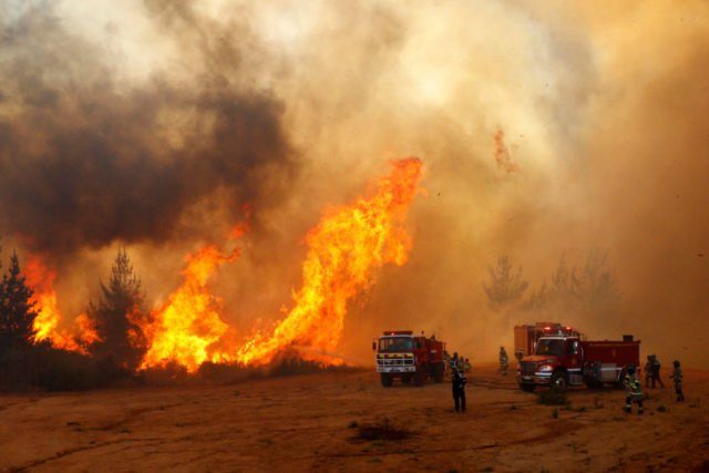 In Chile wüten momentan schreckliche Waldbrände. Februar 2017