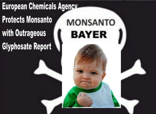 Monsanto Bayer Glyphosat