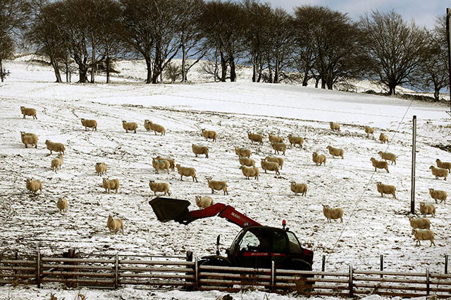 Schneesturm Schottland