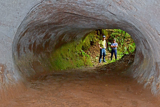 Forscher am Eingang eines Riesentunnels in Brasilien