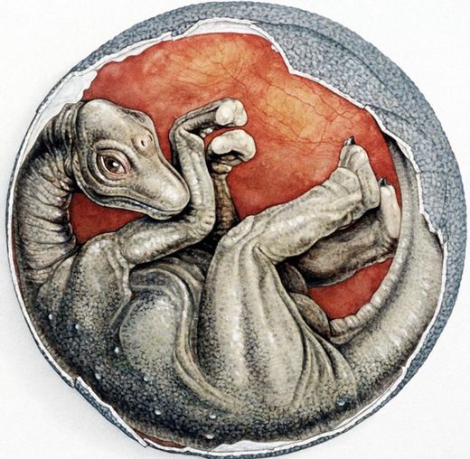 Dinosaurier-Ei Embryo Zeichnung