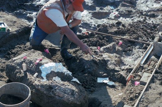 Paläontologe Don Swanson deutet an der Ausgrabungsstätte auf dort gefundene Fels-Absplitterungen. Gefunden wurden die neben Knochen in Sand: Wer brachte sie dorthin?