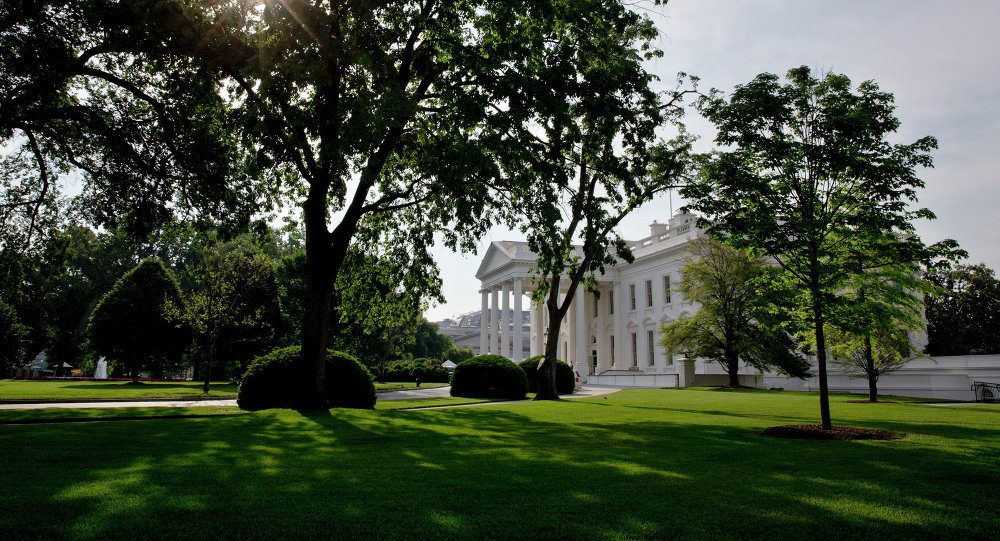 White House 