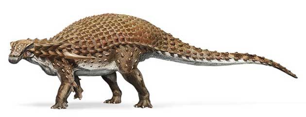Nodosaurus