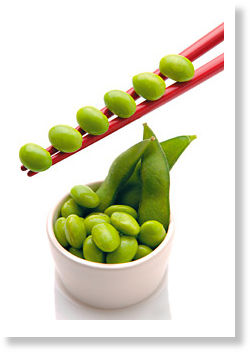 Soy