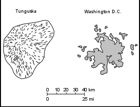 Tunguska-Schäden