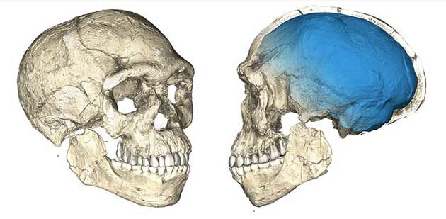 früheste Homo sapiens Fossilien