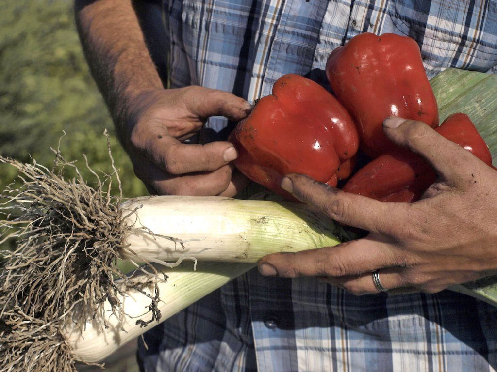 Dürre-Farmer Paul Kaiser Kalifornien, Gemüse