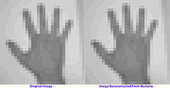 Hand
