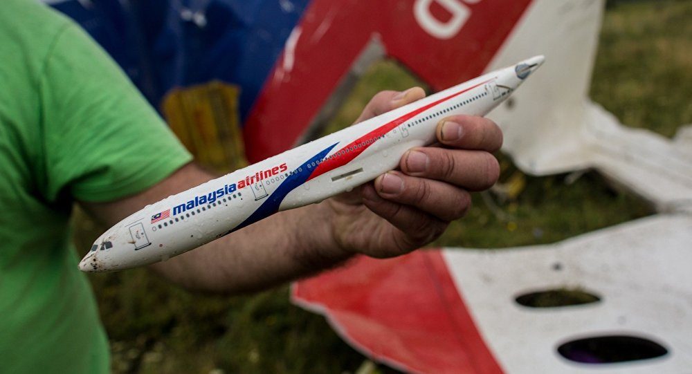 MH17,MH17-Absturz,Modellflugzeug Malaysia Airlines