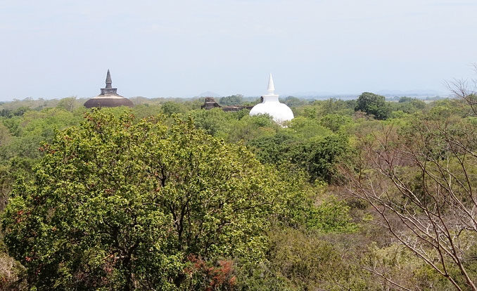 Relikte buddistischer Bauwerke, die aus dem Topenwald bei Polonnaruwa auf Sri Lanka hervorragen