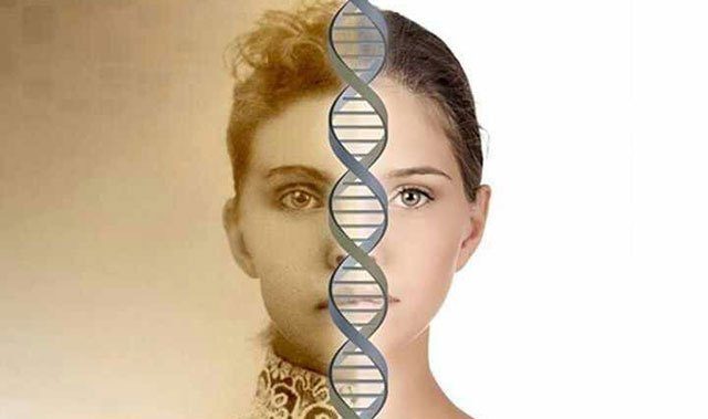 Genetik, Epigenetik, DNA, DNS
