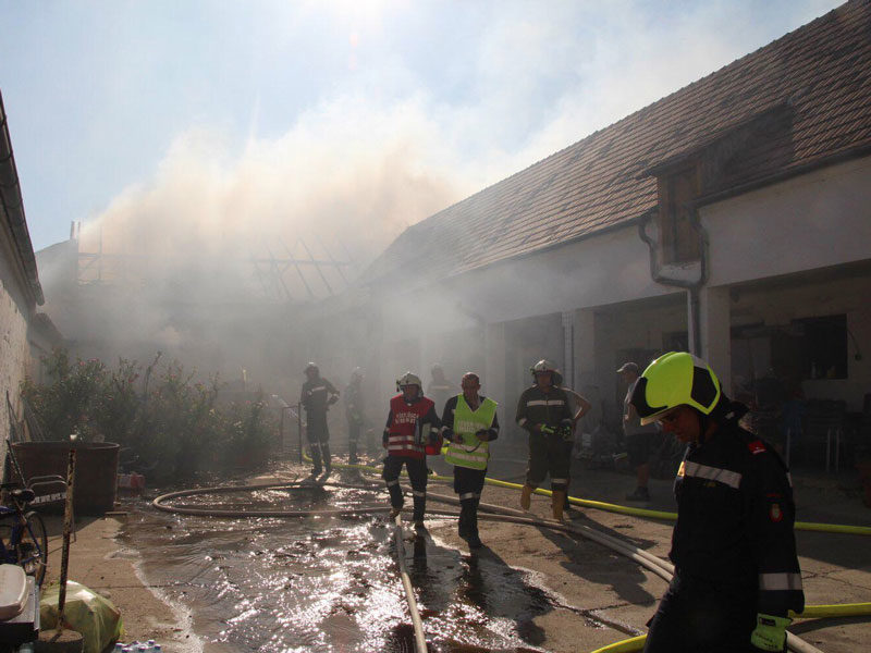Brand Siebenhirten Mistelback Stiere