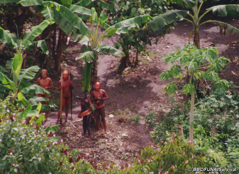 unkontaktiertes Amazonas-Volk Brasilien