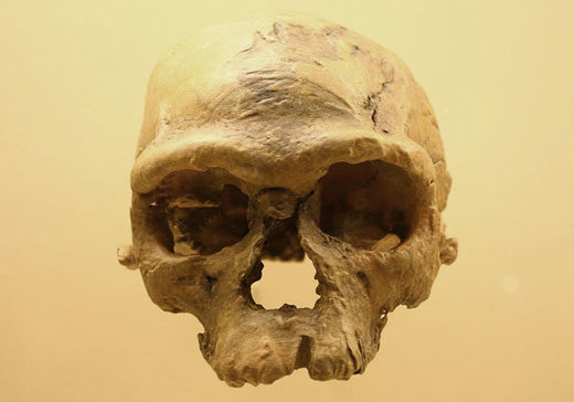 Fossiler Schädel eines archaischen Homo Sapiens