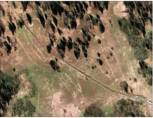 Elch Geoglyphe Google Maps
