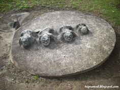 Deckel eines Steinkrugs Lore Lindu Nationalpark Indonesien