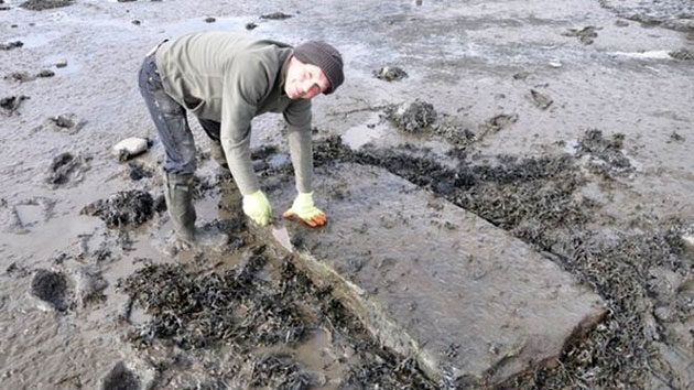 Der Landesarchäologe des Fife Council, Douglas Speirs, bei einer Untersuchung des Grabsteins im Watt vor Torryburn im Sommer 2014.