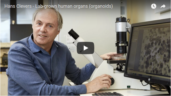 Lab-grown human organs