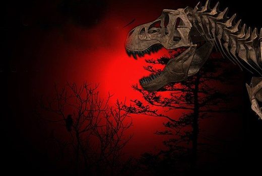 Wie Kohlenstoffdatierung verwendet wird, um das Alter eines Fossils oder eines Gesteins zu bestimmen