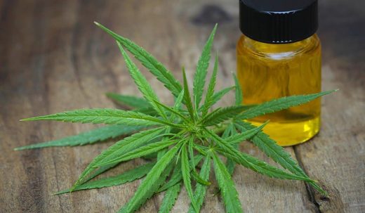 Hanfextrakt, Cannabis Öl