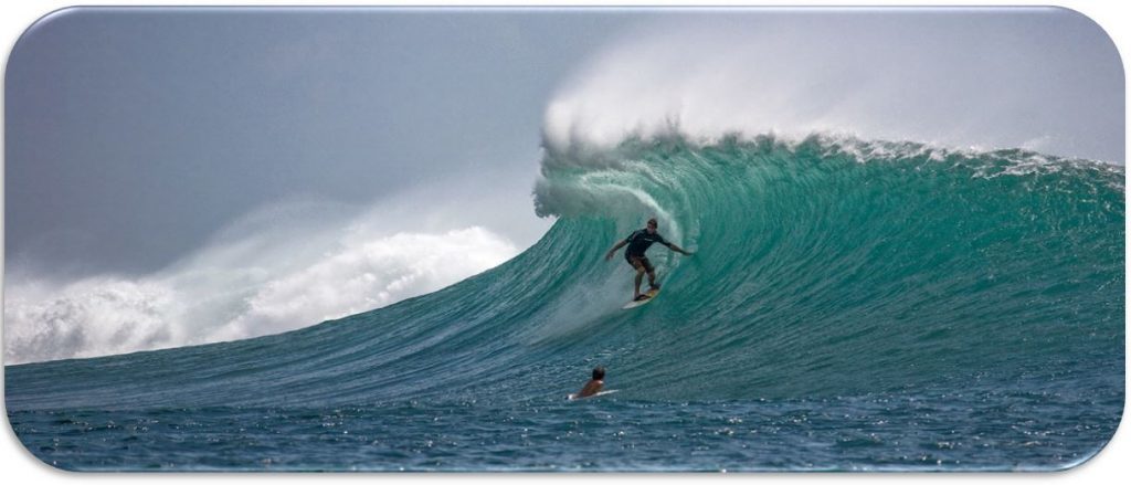 Wave Welle Surfer