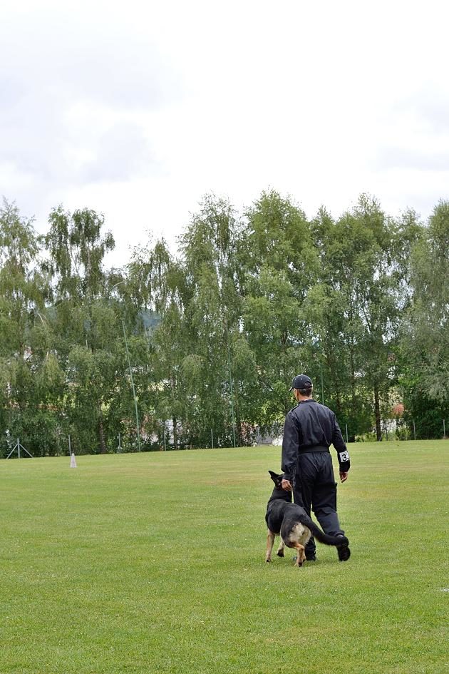 spürhund