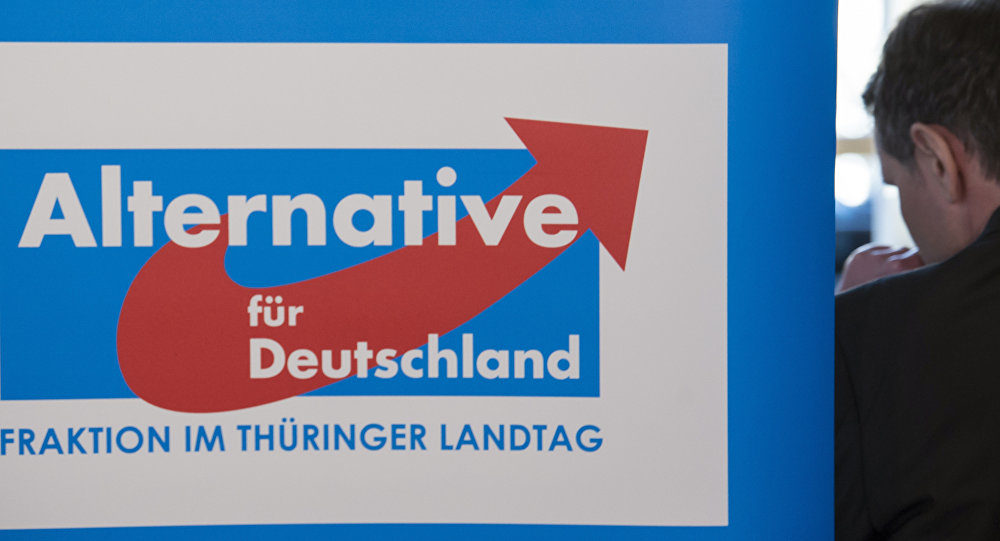 Alternative for Germany (AfD) Party