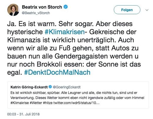 von storch tweet
