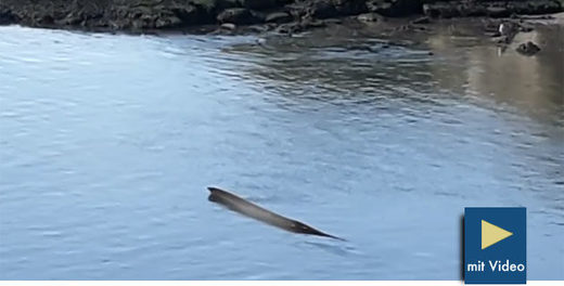 River Tyne Loch Ness