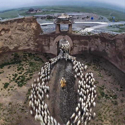 Selforganizing herd
