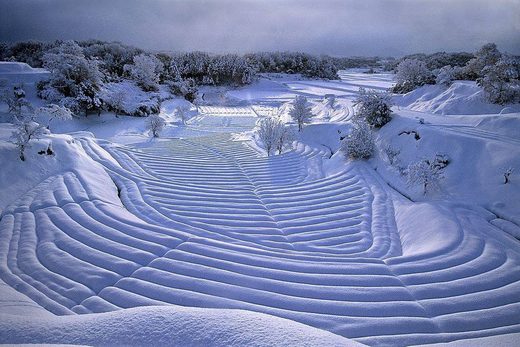 Winter waves
