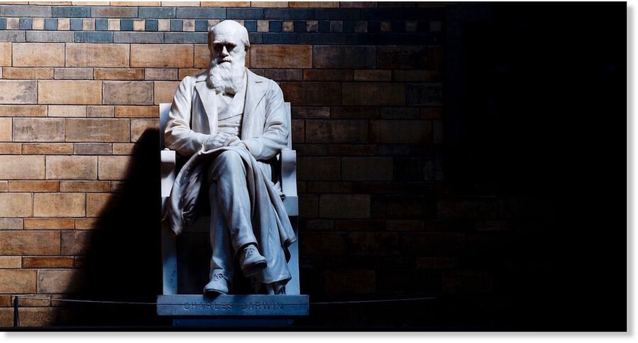Klicken um zu vergrößern darwin statue