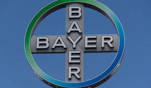 Konzern Bayer