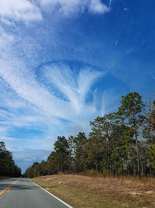 Hole punch cloud