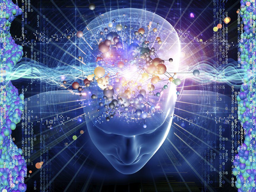 mind brain consciousness