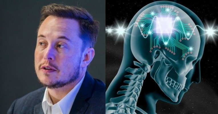 Musk brain probes