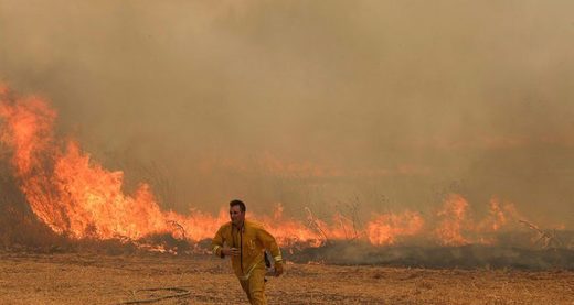 Fire fighters try to extinguish a forest fire near Moshv Aderet, Israel