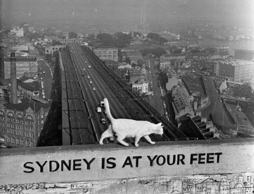 Sydney at your feet