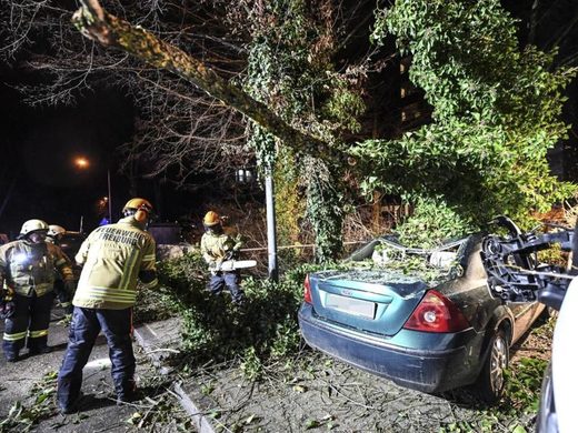Sturmtief: Zerstörtes Auto durch umgestürzten Baum