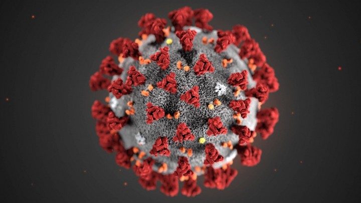 coronavirus