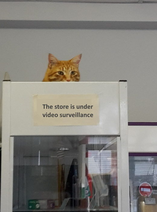 Video surveillance