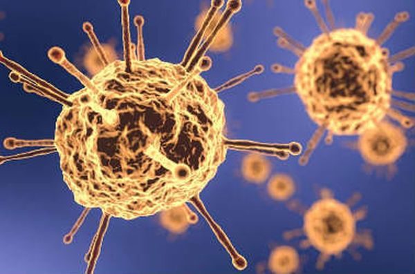 coronavirus
