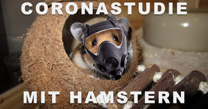 coronastudie mit hamstern