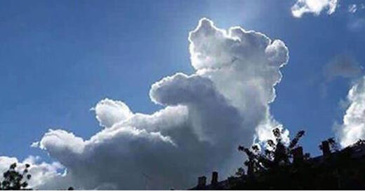 Winnie-the-Pooh