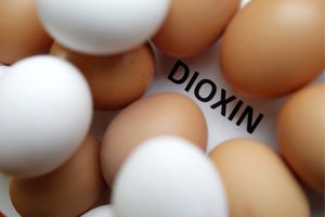 Eier/Dioxin