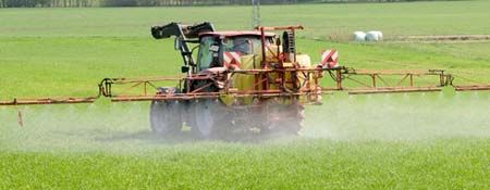 Traktor auf Feld