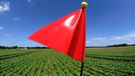 rote Fahne auf Feld